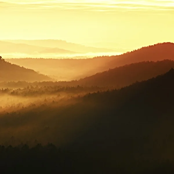 A gyönyörű hegyi Cseh-szász Svájc Sunrise. Dombos csúcsok ködös háttér-ról, a köd, narancs nap sugarai miatt. — Stock Fotó