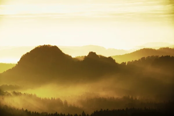 Nascer do sol em uma bela montanha de Checo-Saxônia Suíça. Colinas afiadas aumentadas de fundo nebuloso, o nevoeiro é laranja devido aos raios de sol. — Fotografia de Stock