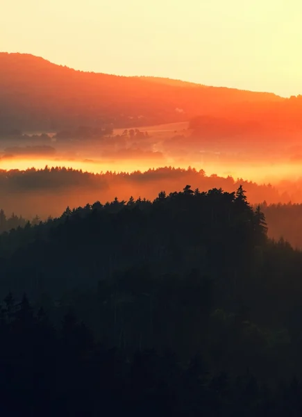 Beautiful green hills glowing by warm sunlight at twilight. Dramatic scene. — Stock Photo, Image