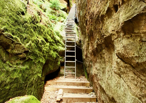 Escada escada subindo na montanha via ferrata — Fotografia de Stock
