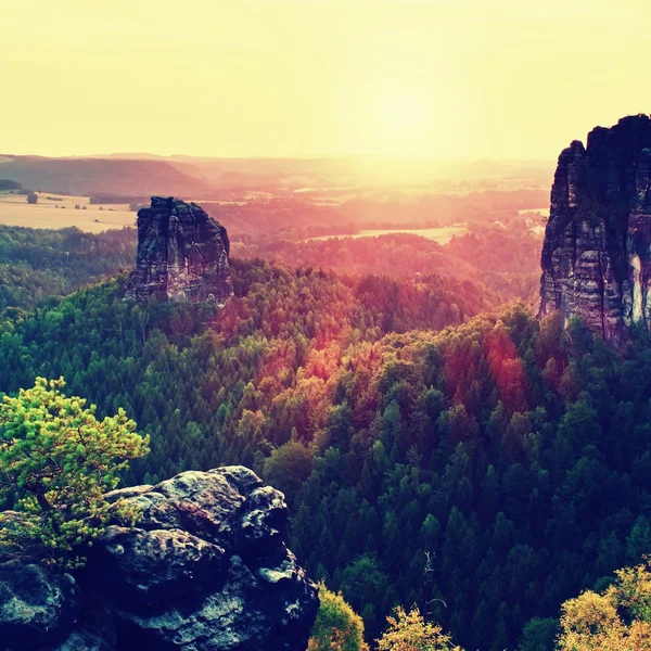 Populární horolezci resort v Sasku park, Německo. Ostré pískovcovými útesy nad hlubokým údolím. — Stock fotografie