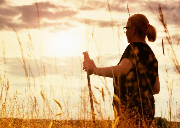 "ong cabello chica es caminar a través de prado en increíble dorado puesta del sol fondo . — Foto de Stock