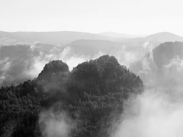 View into deep misty valley in Saxony Switzerland park. Sandstone peaks increased from fog. Black and White picture. — Stock Photo, Image