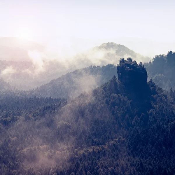 View into deep misty valley in Saxony Switzerland. Sandstone peaks increased from heavy colorful fog. — Stock Photo, Image