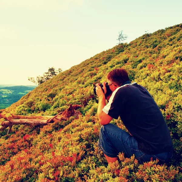 Fotógrafo profissional tira fotos com câmera de espelho em arbustos de mirtilos. Paisagem sonhadora, nascente da primavera . — Fotografia de Stock