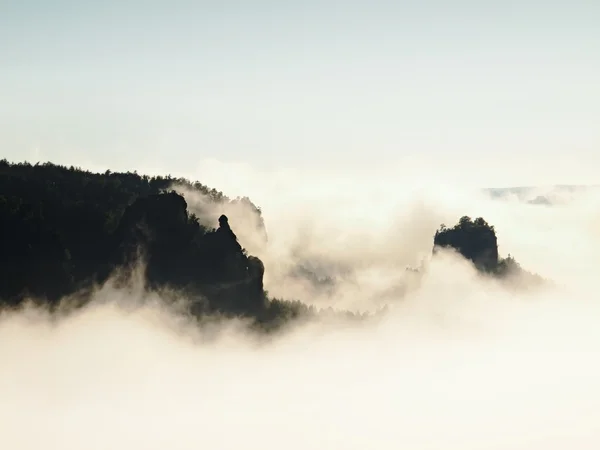 Misty dreamy landscape. Deep misty valley in autumn Saxony Switzerland park full of heavy clouds of dense fog. Sandstone peaks increased from foggy background. — Stock Photo, Image