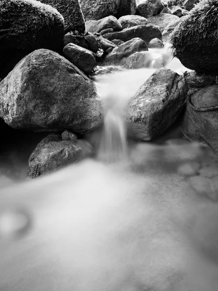 Kaskad på liten fjällbäck, vatten kör över mossiga sandsten stenblock och bubblor skapa på nivå, mjölkig vatten. nedfallna löv på stenar och i vattnet. Svartvitt foto. — Stockfoto