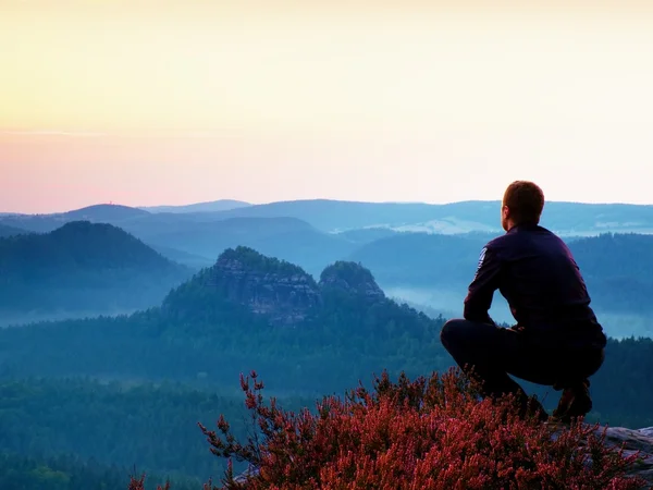 Großer Wanderer in schwarz in hockender Position auf einem Felsen in Heidekrautbüschen, genießt die Landschaft — Stockfoto