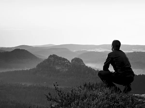 Großer Wanderer in schwarz in hockender Position auf einem Felsen in Heidekrautbüschen, genießt die Landschaft — Stockfoto