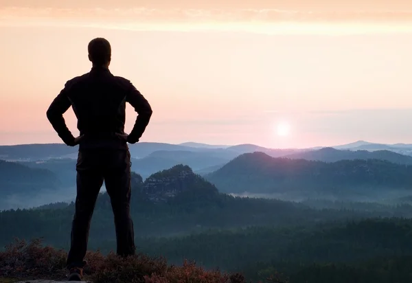 Man gest triumf. Tillfredsställa vandrare i mörka sportkläder på kanten med Ljung. Lång man på toppen av sandsten klippa vaktande till liggande. — Stockfoto