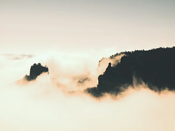 Paisaje de ensueño brumoso. Profundo valle brumoso en otoño Sajonia Suiza parque lleno de densas nubes de niebla. Picos de arenisca aumentados de fondo brumoso . —  Fotos de Stock