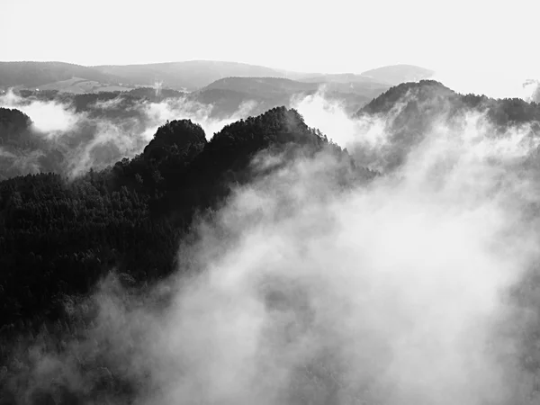 Vista sulla profonda valle nebbiosa nel parco della Sassonia Svizzera. Picchi di arenaria aumentati dalla nebbia. Foto in bianco e nero . — Foto Stock