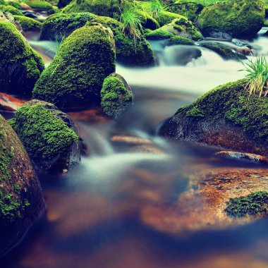 açık su bulanık dalgalar ile dağ nehir. yollar Rapids yosunlu kayalar ve kabarcıklar arasında beyaz eğriler oluşturmak.