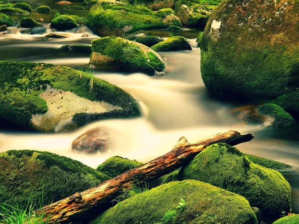 Fiume di montagna con onde sfocate di acqua limpida. Curve bianche in rapide tra massi muschiati e bolle creano sentieri . — Foto Stock