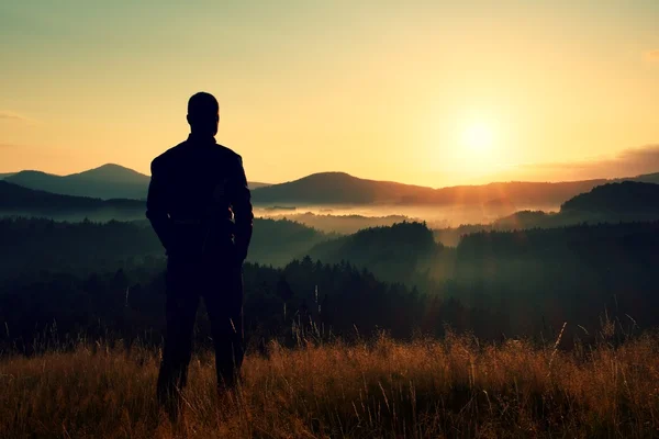 Пеший турист стоит на лугу с золотыми стеблями травы и наблюдает за туманной и туманной утренней долиной до восхода солнца — стоковое фото