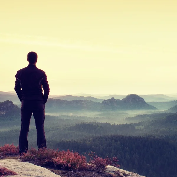 Geste des Triumphes. befriedigen Wanderer in dunkler Sportbekleidung am Rand mit Heide.Großer Mann auf dem Gipfel der Sandsteinklippe beobachtet die Landschaft. — Stockfoto