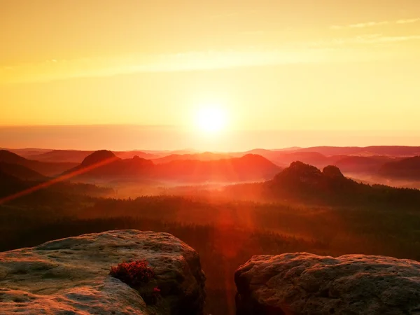 Warm misty autumn land in red colorful shadows. Rocky gulch full of purple fog and Sun is hidden in mist. — Stock Photo, Image