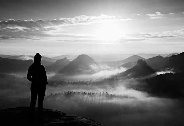 혼자 어린 소녀 관광 사암 바위의 날카로운 모서리에가 새벽 하 고 태양에 안개 낀 계곡을 지켜. — 스톡 사진