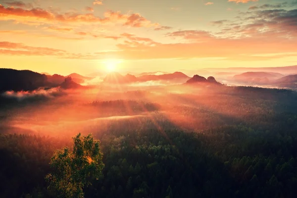 Panorama paisagem enevoada nas montanhas. Fantástico nascer do sol sonhador em montanhas rochosas com vista para baixo para nebuloso vale nebuloso abaixo — Fotografia de Stock