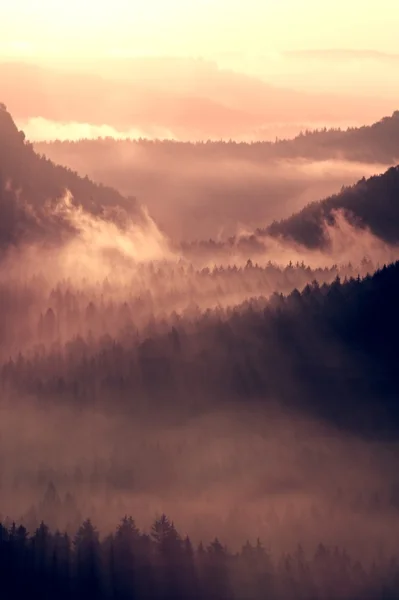 Farbenfroher Herbsteinbruch. nebliges Erwachen in einem wunderschönen Hügelland. Gipfel der Hügel ragen aus dem dichten Nebel — Stockfoto