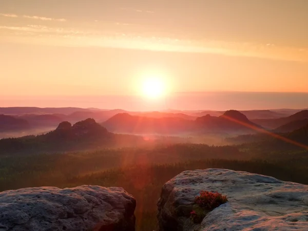 Teplý zamlžený podzimní pozemky v červené barevné stíny. Skalnatá rokle plné purpurová mlha a slunce se skrývá v mlze. — Stock fotografie