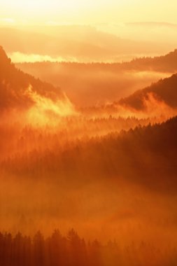 Renkli sonbahar daybreak. Puslu bir güzel tepelerde uyanış. Hills doruklarına canlı sis yapışkanlık dışarı