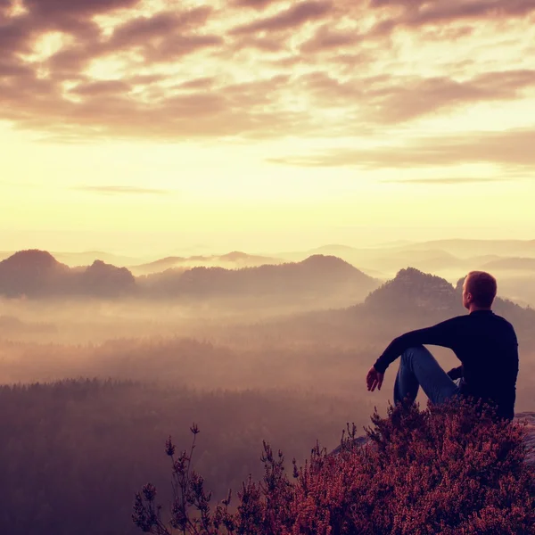 Hoog wandelaar in donkere shirt zitten op een rockatn Heide struiken, genieten van mistige ochtend landschap — Stockfoto