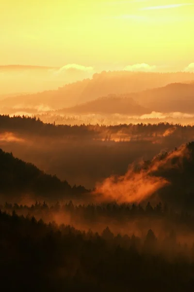 Fantastico risveglio rosso della natura. Misty bella valle. Picchi di colline stanno attaccando dalla nebbia pesante, raggi di sole colorati nebbia densa all'arancio . — Foto Stock