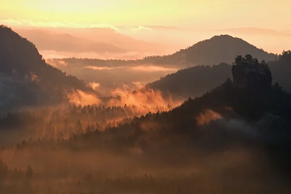 Kalter Morgen in hügeliger Landschaft am Ende des Sommers. bunter Sommermorgen mit goldenem Licht und dichtem Nebel zwischen Hügeln nach regnerischer Nacht — Stockfoto