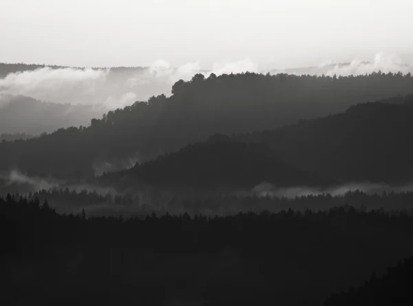 Podzimní mlhavé svítání. Misty probuzení v krásných kopcích. Vrcholy kopců jsou trčí z zamlžené pozadí — Stock fotografie