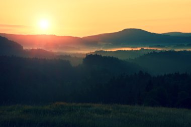 Sunrise Landscape.Early sabah çayır.