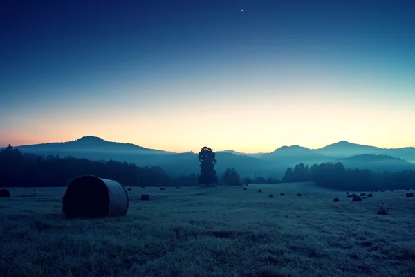 Early foggy morning at meadows. Daybreak at horizon.  Ground frost covered grass withgrey  hoarfrost — Stock Photo, Image