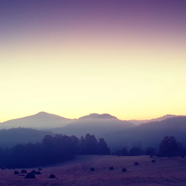 Picturesque misty and cold  sunrise in landscape. First hoarfrost in foggy morning meadow — Stock Photo, Image