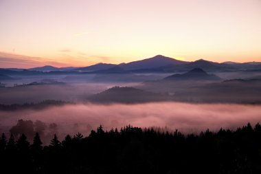 puslu daybreak güzel Hills. hills doruklarına sisli arka çıkmış, sis sarı ve turuncu güneş ışınları nedeniyle. sis, ağaçlar arasında sallanan.