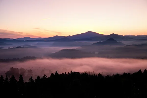 Mistige daybreak in een prachtige heuvels. pieken van heuvels zijn uit te steken van mistige achtergrond, de mist is geel en oranje als gevolg van zonnestralen. de mist is swingend tussen bomen. — Stockfoto