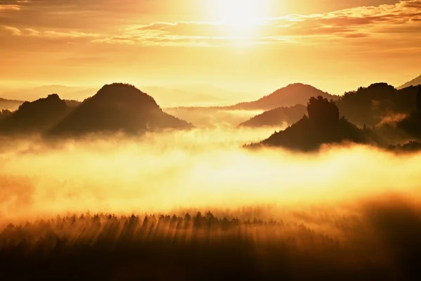 Bunter Herbstmorgen in der Berglandschaft. Dramatisch bewölkter Himmel. Nationalpark Sachsen, Europa. Schönheitswelt. — Stockfoto