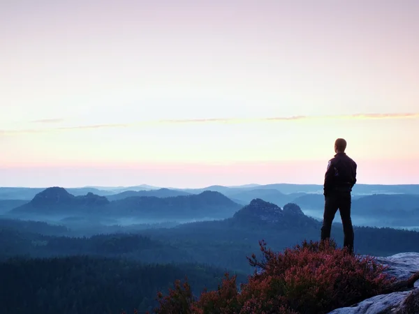 Tall man in black on the cliff with heather bush. Sharp rocky mountains park — Stock Photo, Image