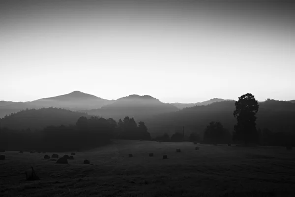 Early autumn  morning in meadows, hoarfrost on grass in  foggy valley — Stock Photo, Image