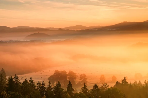 Pink daybreak in hilly landcape. Autumn freeze misty morning in a beautiful hills. Peaks of hills are sticking out from pink orange fog — Stock Photo, Image