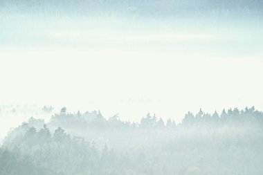 Mavi sabah. Tepeler ve ormanlar dağ Vadisi sonbahar günbatımı sırasında satırlarında. Soğuk sis içinde doğal dağ manzarası