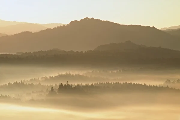 Mistige herfst heuvels van de berg landschap. Gefilterde afbeelding met grensoverschrijdende verwerkte levendige effect. — Stockfoto