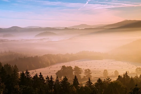 Rosafarbener Tagesanbruch in hügeliger Landschaft. Herbst Frost nebeligen Morgen in einem schönen Hügeln. Berggipfel ragen aus rosa-orangefarbenem Nebel — Stockfoto