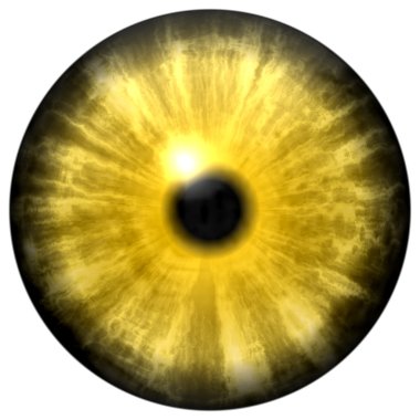 Yellow animal eye with small pupil and black retina. Dark colorful iris around pupil, detail of eye bulb. clipart