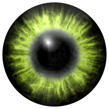 bright green human  eye with middle pupil and dark retina. Dark colorful iris around pupil, detail view into eye bulb. clipart