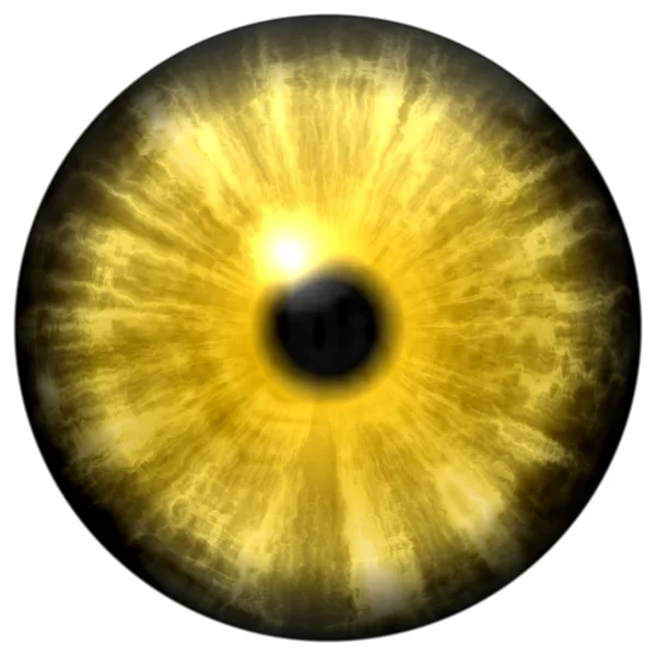 Ojo de animal amarillo con pupila pequeña y retina negra. Iris de color oscuro alrededor de la pupila, detalle de la bombilla del ojo . — Foto de Stock