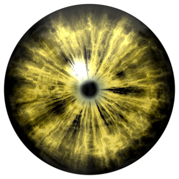 Ojo de animal amarillo con pupila pequeña y retina negra. Iris de color oscuro alrededor de la pupila, detalle de la bombilla del ojo . — Foto de Stock