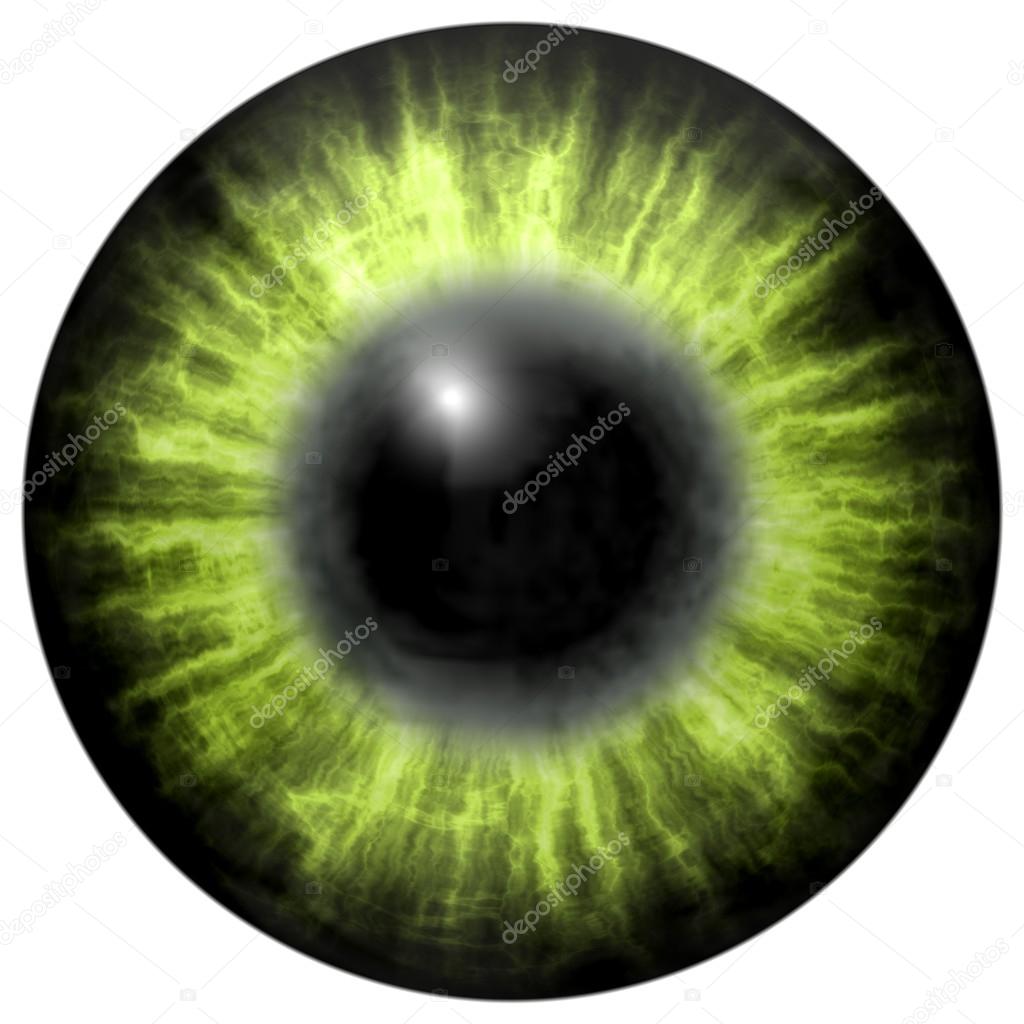 bright green human  eye with middle pupil and dark retina. Dark colorful iris around pupil, detail view into eye bulb.