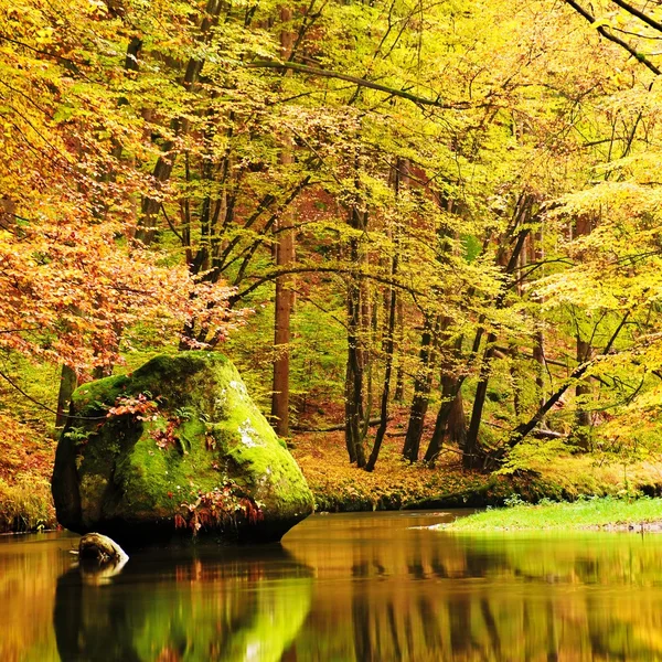 Farben des herbstlichen Gebirgsflusses. Bunte Ufer mit Blättern, Bäume, die sich über den Fluss beugen. großer Felsbrocken im Fluss — Stockfoto