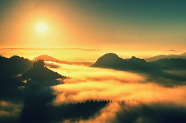 Warm misty autumn land in red colorful vapor. Rocky gulch full of heavy fog. Sun is hidden in  colorful mist.