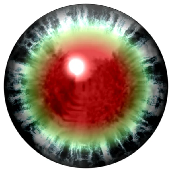 Изолированный зеленый глаз с окровавленной сетчаткой глаза. Глаз животного с большим зрачком и ярко-красной сетчаткой на заднем плане. Зеленая радужка вокруг зрачка . — стоковое фото